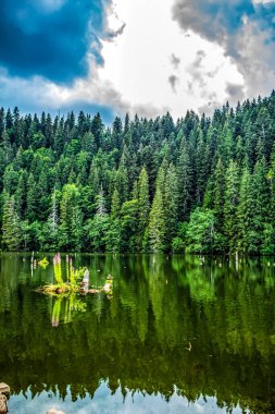 Dağlarda gölü olan güzel bir manzara.