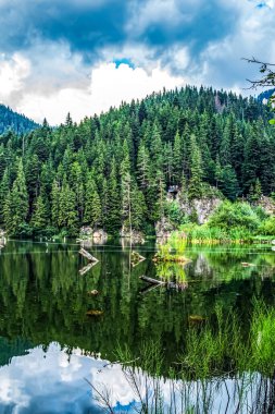 Dağların güzel manzarası