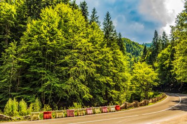 güzel manzara orman ve dağlar