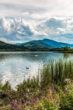 Göllü güzel bir manzara.