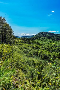 Dağların güzel manzarası