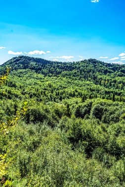 Dağlarda yeşil orman ve mavi gökyüzü