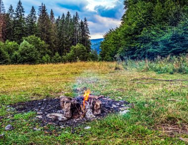 Yeşil çimlerin üzerinde yanan kamp ateşi
