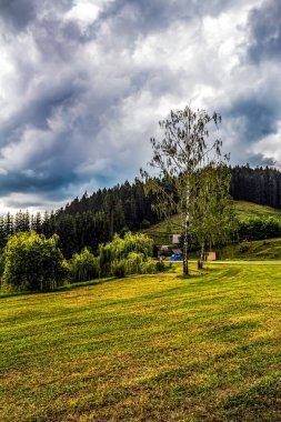 Güzel bulutlu gökyüzü ile yeşil çimenler.
