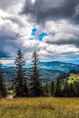 Bir dağ manzarasının güzel bir görüntüsü