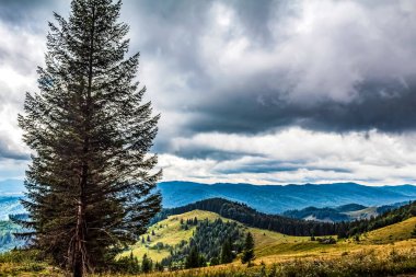 Karpatlar'ın dağ manzarası