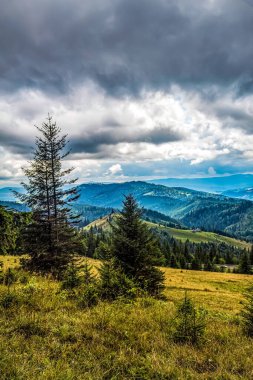 Dağ sırası olan güzel bir manzara.