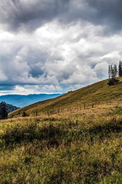 Doğanın güzel manzarası