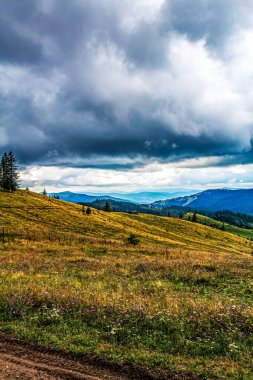 Yeşil ağaçların ve bulutlu gökyüzünün güzel bir görüntüsü.