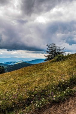 Dağların güzel manzarası