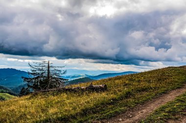 Karpat Dağları 'ndaki güzel dağ manzarası