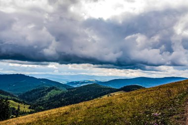 Karpatlar manzarada yaz