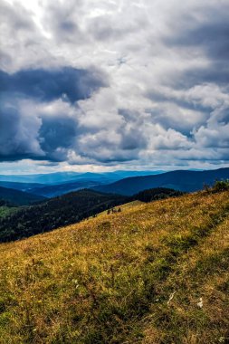 Dağlardaki güzel yaz manzarası.