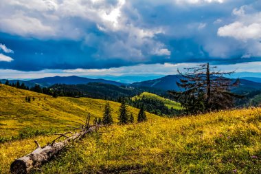 Karpatlar 'da bulutlu bir gökyüzü olan güzel dağ manzarası, Ukrayna