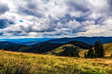 Yazın Karpat Dağları