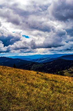 Yazın Karpat Dağlarının manzarası.