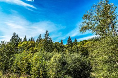 Ağaçları ve mavi gökyüzü olan güzel bir manzara.
