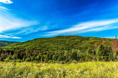güzel manzara mavi gökyüzü ve beyaz bulutlar