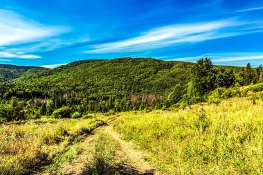 Ukrayna 'daki Karpatların yaz manzarası