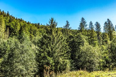 Dağ sırası olan güzel bir manzara.