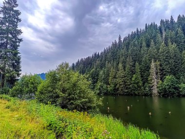 Nehir ve gölü olan güzel bir manzara.