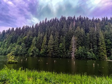 Dağların güzel manzarası