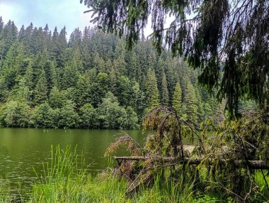 Dağlarda güzel bir göl manzarası