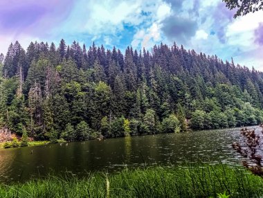 Yazın güzel göl manzarası