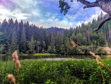 Dağlarda gölü olan güzel bir manzara.