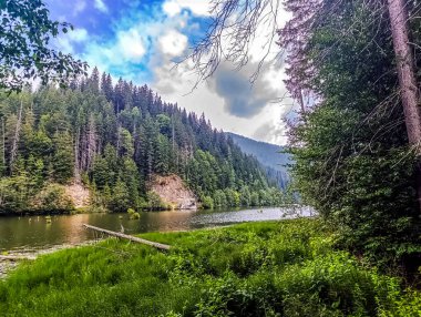Nehir ve ağaçlarla dolu güzel bir manzara