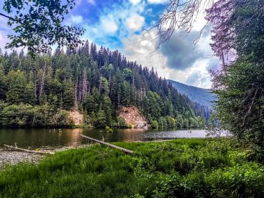 Güzel göl manzarası