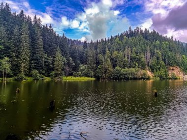Ormandaki güzel göl