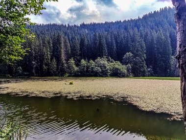 Dağlardaki güzel göl manzarası