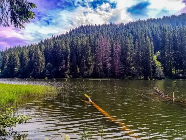 Karpatlar 'daki Dağ Gölü.