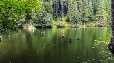 Güzel göl manzarası