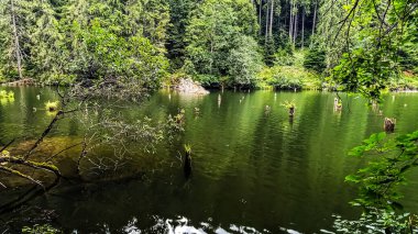 Güzel göl manzarası