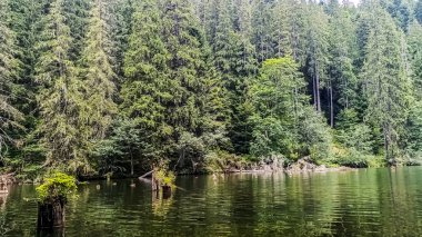 Dağlardaki orman gölü