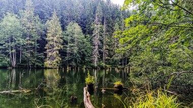 Göl güzel manzara.