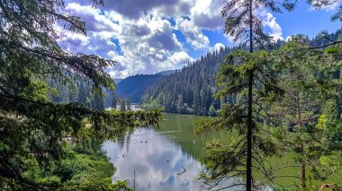Dağlardaki nehrin güzel manzarası