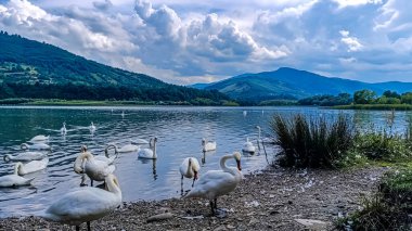 Gölün güzel manzarası parktaki gölün dağları