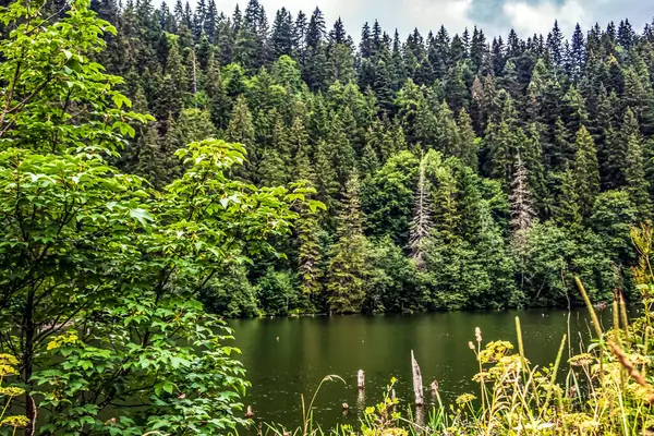 Doğanın güzel manzarası