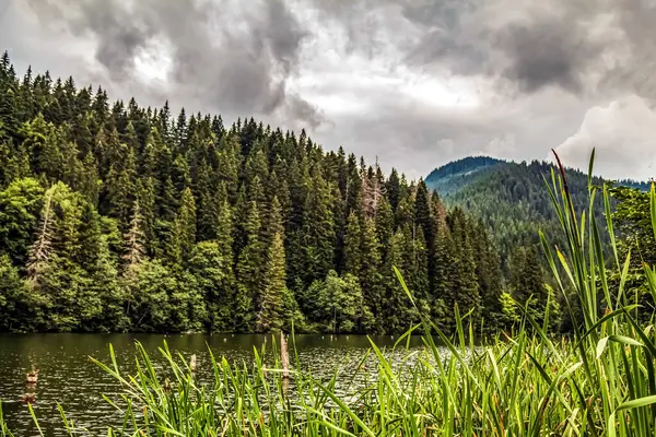 Doğanın güzel manzarası