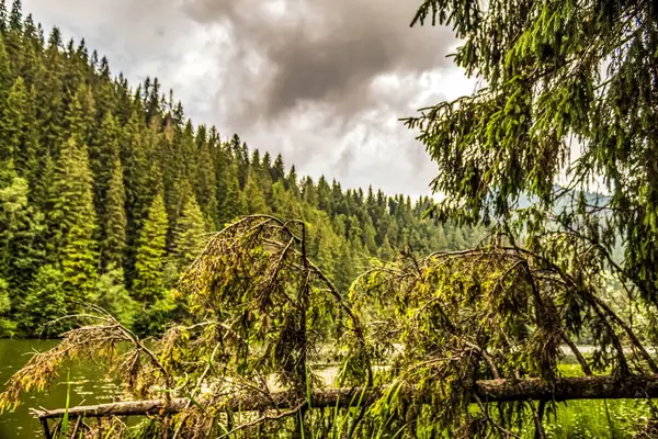 Doğanın güzel manzarası