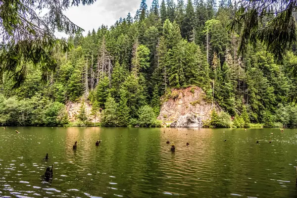 Arka planda bir nehir olan güzel bir manzara.