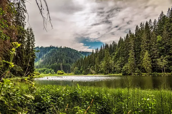 Bulutlu bir günde ağaçlar ve ormanlarla çevrili güzel bir göl görüntüsü.