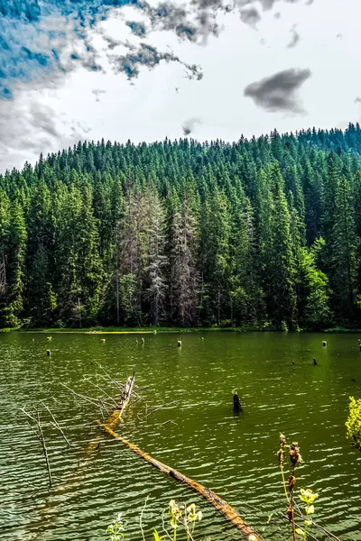 Güzel göl manzarası