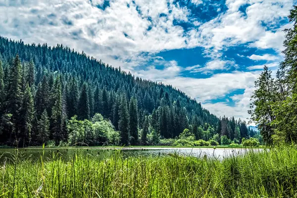 Güzel göl manzarası