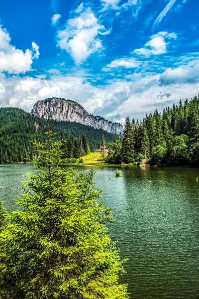 Dağ nehri olan güzel bir manzara.