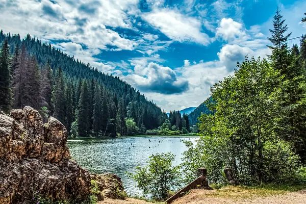 Ormandaki göl ve dağ manzarası