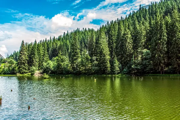 Göllü güzel bir manzara.